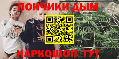 индика Гусиноозёрск