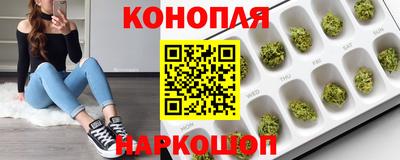 индика Гусиноозёрск
