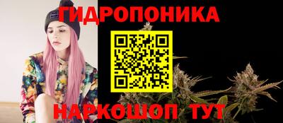 индика Гусиноозёрск