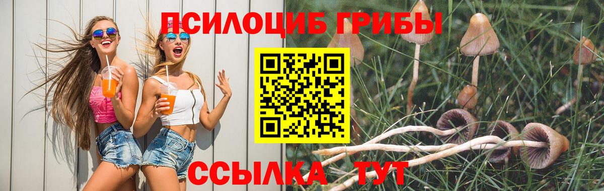 Минеральные Воды  Псилоцибиновые грибы GOLDEN TEACHER  наркотики  Вход с VPN 